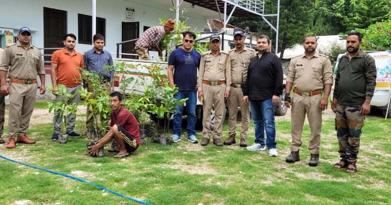 हरेला अभियान के तहत रंत रैबार संस्था ने यमकेश्वर बिजनी में किया वृक्षारोपण