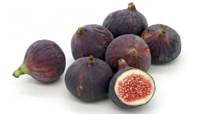 सेहत का खजाना है अंजीर, रोजाना सेवन करने से मिलते हैं कई बड़े फायदे